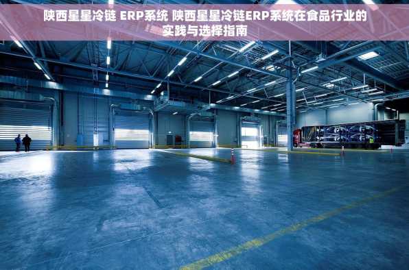 陕西星星冷链 ERP系统 陕西星星冷链ERP系统在食品行业的实践与选择指南