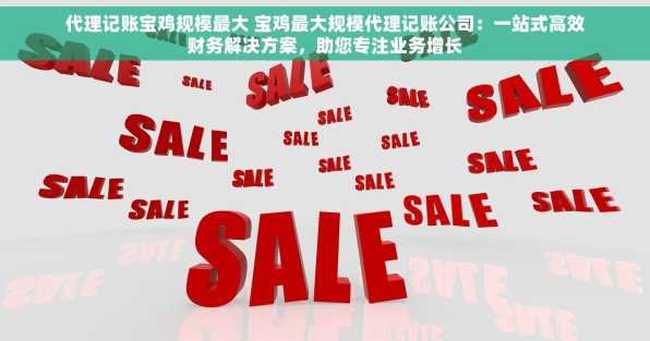 代理记账宝鸡规模最大 宝鸡最大规模代理记账公司：一站式高效财务解决方案，助您专注业务增长
