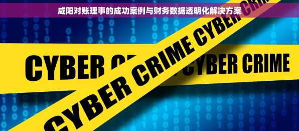 咸阳对账理事的成功案例与财务数据透明化解决方案