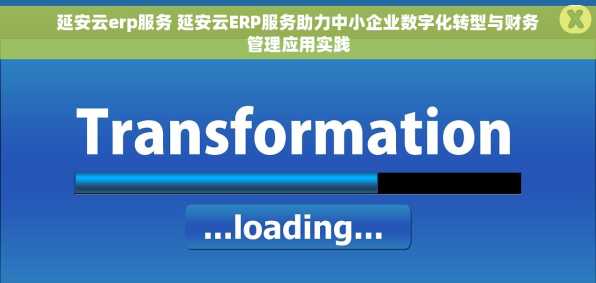 延安云erp服务 延安云ERP服务助力中小企业数字化转型与财务管理应用实践
