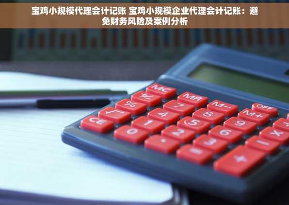 宝鸡小规模代理会计记账 宝鸡小规模企业代理会计记账：避免财务风险及案例分析