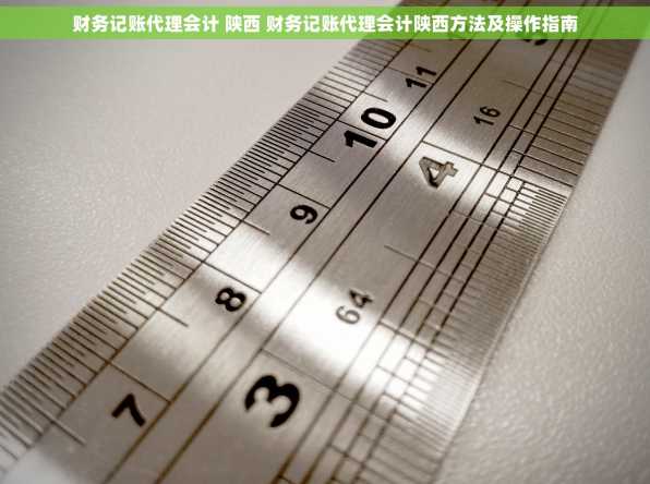 财务记账代理会计 陕西 财务记账代理会计陕西方法及操作指南