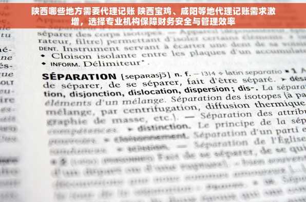 陕西哪些地方需要代理记账 陕西宝鸡、咸阳等地代理记账需求激增，选择专业机构保障财务安全与管理效率