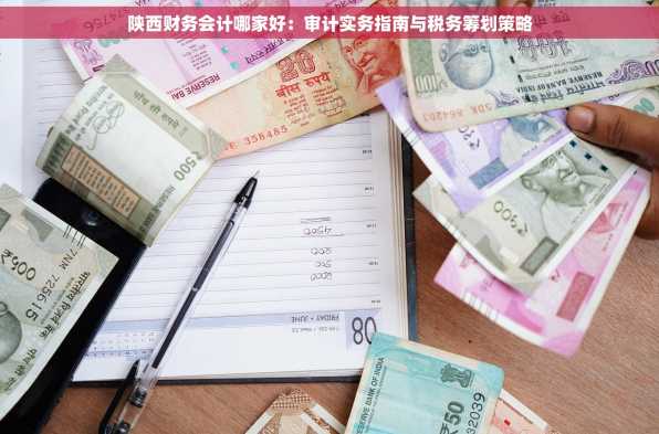 陕西财务会计哪家好：审计实务指南与税务筹划策略