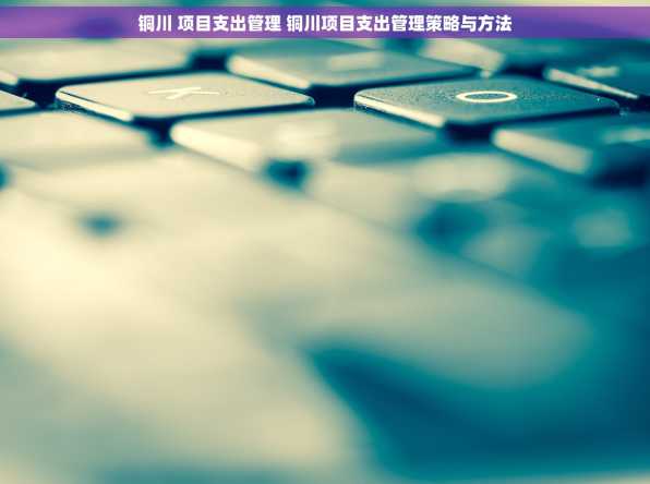 铜川 项目支出管理 铜川项目支出管理策略与方法