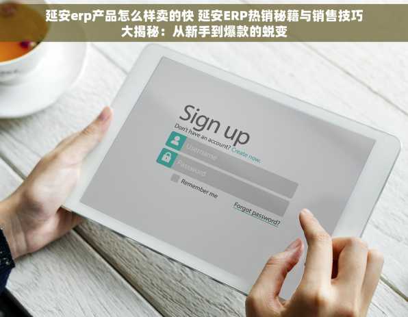 延安erp产品怎么样卖的快 延安ERP热销秘籍与销售技巧大揭秘：从新手到爆款的蜕变