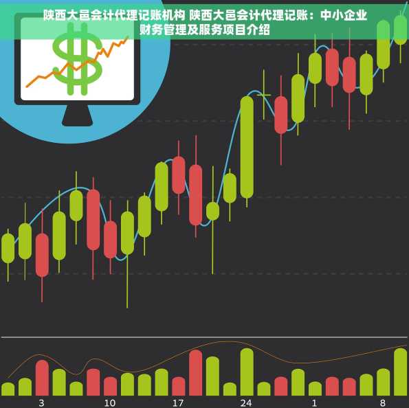 陕西大邑会计代理记账机构 陕西大邑会计代理记账：中小企业财务管理及服务项目介绍