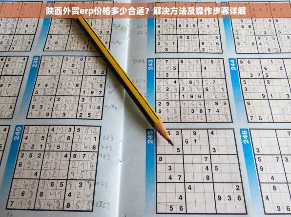 陕西外贸erp价格多少合适？解决方法及操作步骤详解