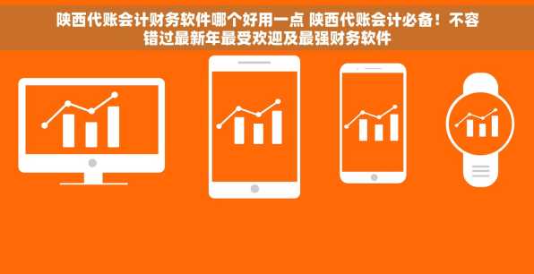 陕西代账会计财务软件哪个好用一点 陕西代账会计必备！不容错过最新年最受欢迎及最强财务软件