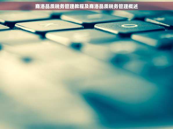商洛品质税务管理教程及商洛品质税务管理概述