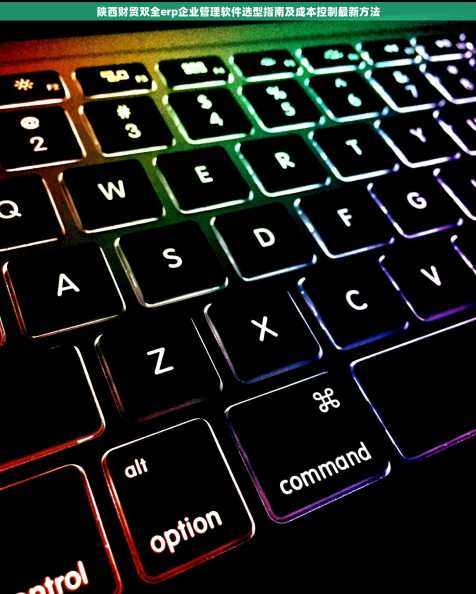 陕西财贸双全erp企业管理软件选型指南及成本控制最新方法