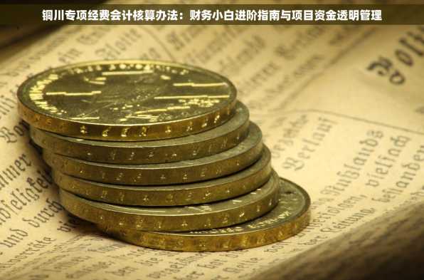 铜川专项经费会计核算办法：财务小白进阶指南与项目资金透明管理