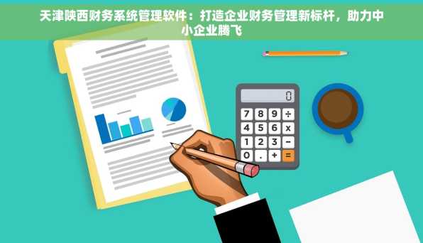 天津陕西财务系统管理软件：打造企业财务管理新标杆，助力中小企业腾飞