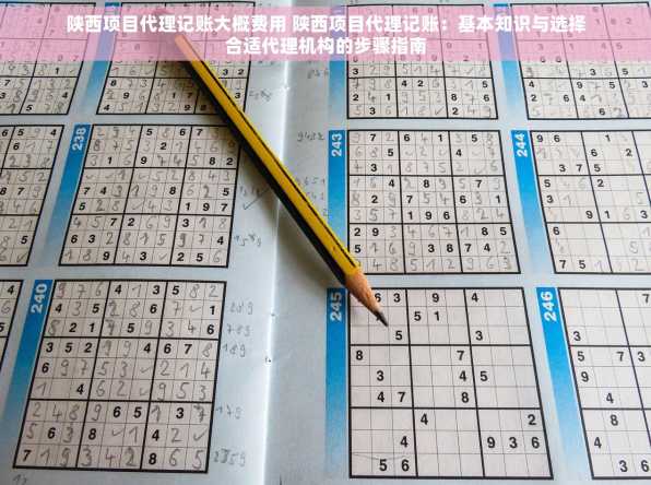 陕西项目代理记账大概费用 陕西项目代理记账：基本知识与选择合适代理机构的步骤指南