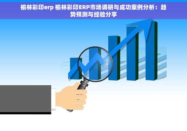 榆林彩印erp 榆林彩印ERP市场调研与成功案例分析：趋势预测与经验分享