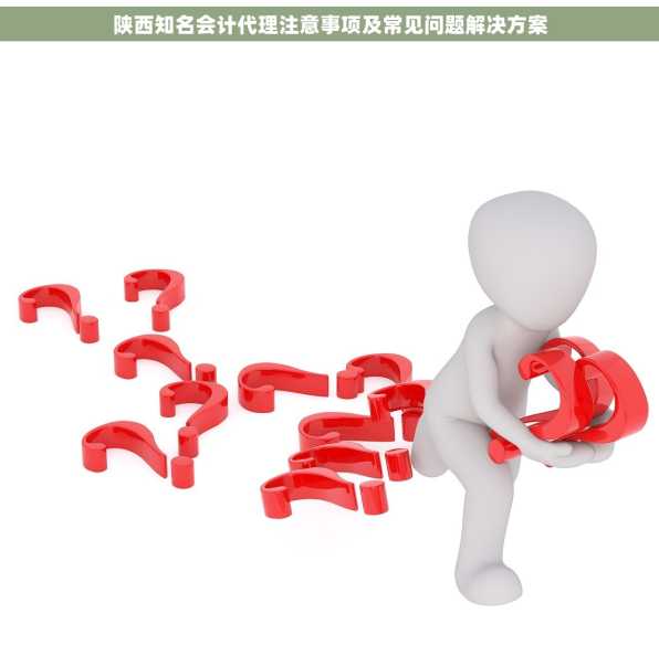 陕西知名会计代理注意事项及常见问题解决方案