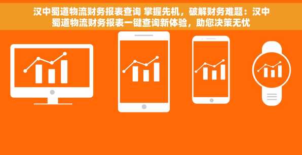 汉中蜀道物流财务报表查询 掌握先机，破解财务难题：汉中蜀道物流财务报表一键查询新体验，助您决策无忧