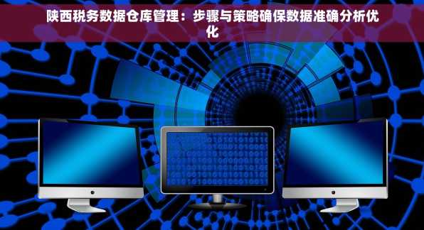 陕西税务数据仓库管理：步骤与策略确保数据准确分析优化