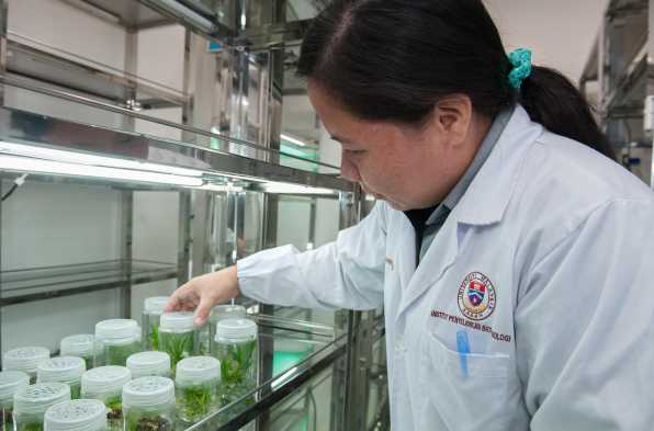 渭南彩印厂erp服务好做吗现在 渭南彩印厂ERP服务体验与实施策略分享：真的好用吗？