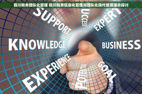 铜川税务团队化管理 铜川税务信息化管理与团队化现代管理理念探讨