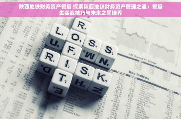 陕西地铁财务资产管培 探索陕西地铁财务资产管理之道：管培生实战技巧与未来之星培养