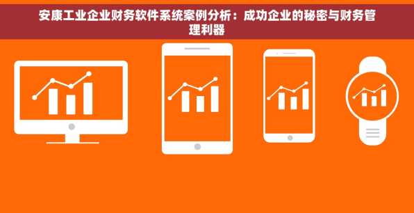 安康工业企业财务软件系统案例分析：成功企业的秘密与财务管理利器