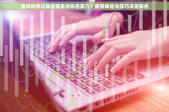 宝鸡财务记账管理系统排名第几？使用体验与技巧决定排名