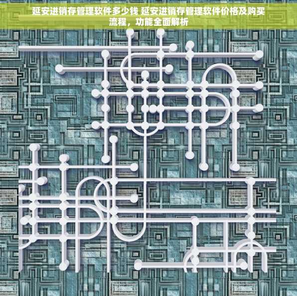 延安进销存管理软件多少钱 延安进销存管理软件价格及购买流程，功能全面解析