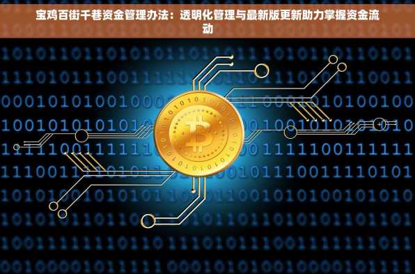 宝鸡百街千巷资金管理办法：透明化管理与最新版更新助力掌握资金流动