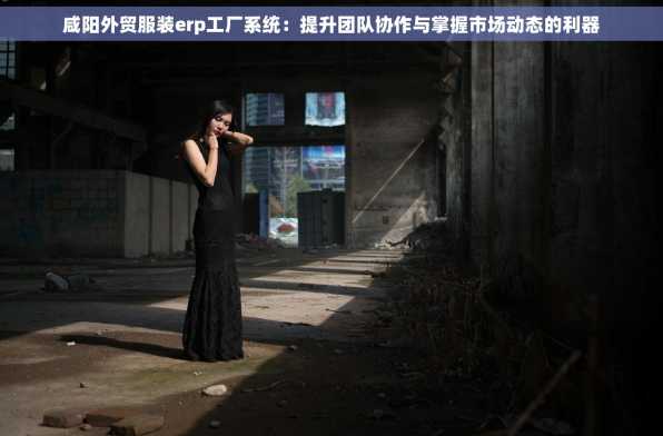 咸阳外贸服装erp工厂系统：提升团队协作与掌握市场动态的利器