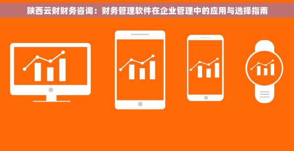 陕西云财财务咨询：财务管理软件在企业管理中的应用与选择指南