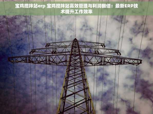 宝鸡搅拌站erp 宝鸡搅拌站高效管理与利润翻倍：最新ERP技术提升工作效率