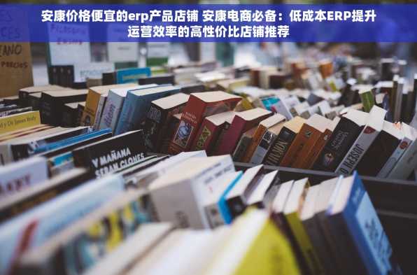 安康价格便宜的erp产品店铺 安康电商必备：低成本ERP提升运营效率的高性价比店铺推荐