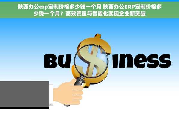 陕西办公erp定制价格多少钱一个月 陕西办公ERP定制价格多少钱一个月？高效管理与智能化实现企业新突破