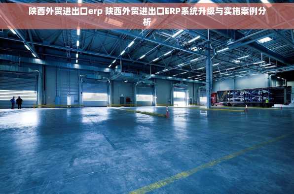 陕西外贸进出口erp 陕西外贸进出口ERP系统升级与实施案例分析
