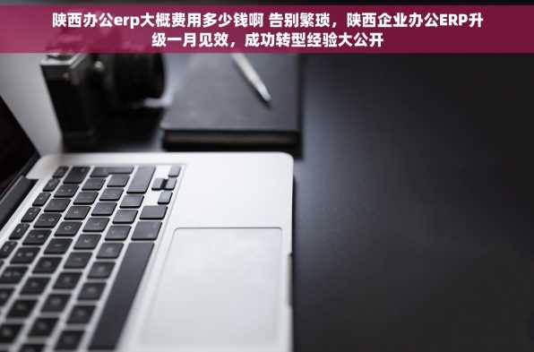 陕西办公erp大概费用多少钱啊 告别繁琐，陕西企业办公ERP升级一月见效，成功转型经验大公开