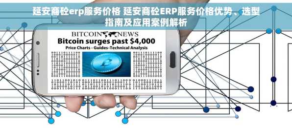 延安商砼erp服务价格 延安商砼ERP服务价格优势、选型指南及应用案例解析