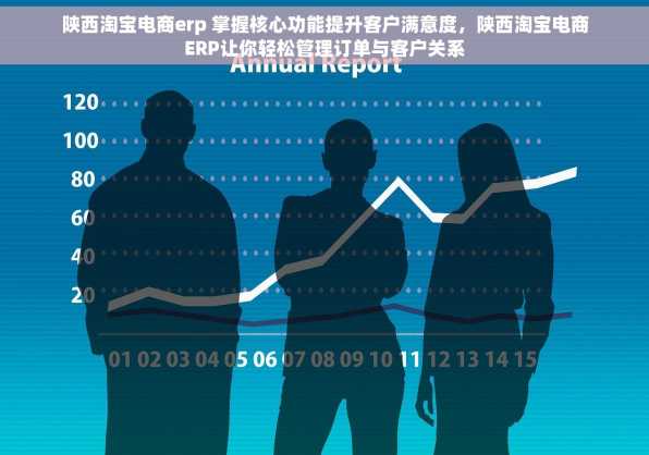 陕西淘宝电商erp 掌握核心功能提升客户满意度，陕西淘宝电商ERP让你轻松管理订单与客户关系