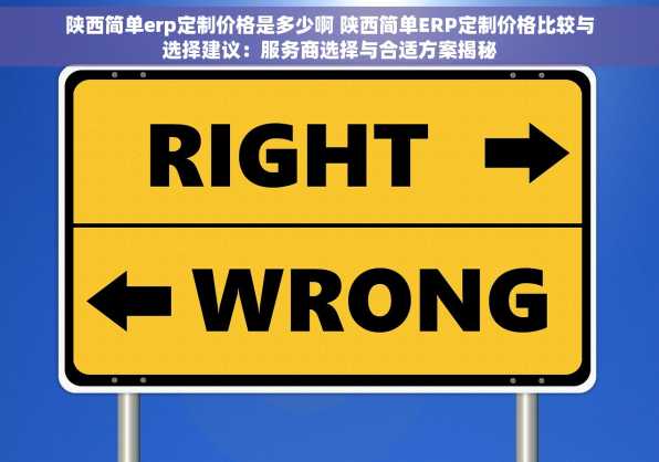 陕西简单erp定制价格是多少啊 陕西简单ERP定制价格比较与选择建议：服务商选择与合适方案揭秘