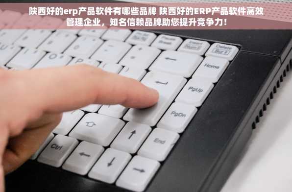 陕西好的erp产品软件有哪些品牌 陕西好的ERP产品软件高效管理企业，知名信赖品牌助您提升竞争力！