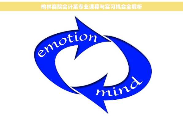 榆林商院会计系专业课程与实习机会全解析