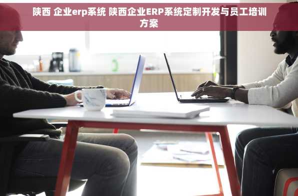 陕西 企业erp系统 陕西企业ERP系统定制开发与员工培训方案