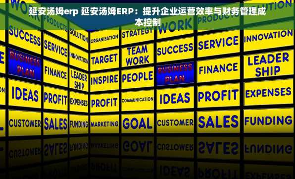 延安汤姆erp 延安汤姆ERP：提升企业运营效率与财务管理成本控制