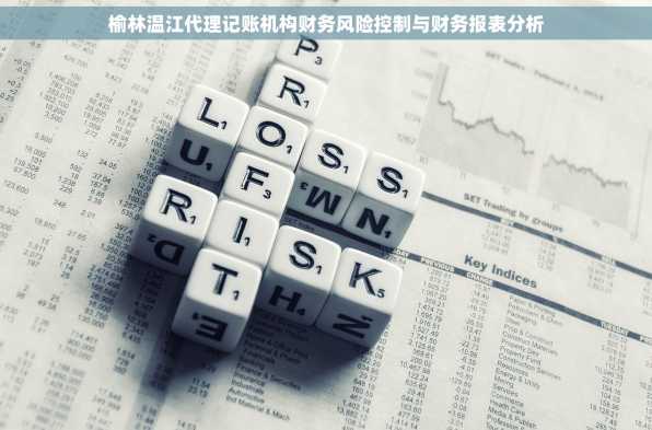 榆林温江代理记账机构财务风险控制与财务报表分析
