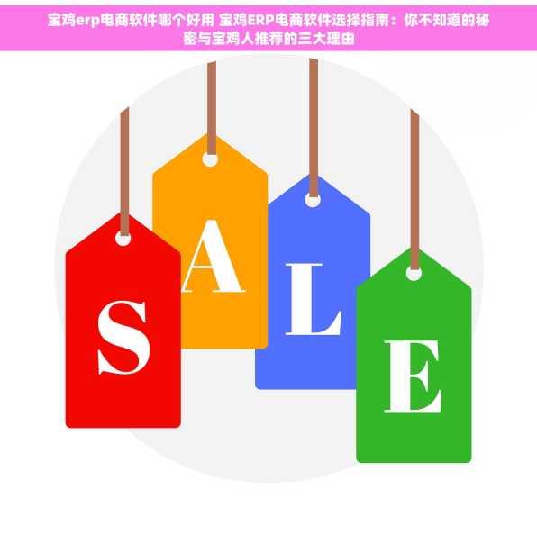宝鸡erp电商软件哪个好用 宝鸡ERP电商软件选择指南：你不知道的秘密与宝鸡人推荐的三大理由