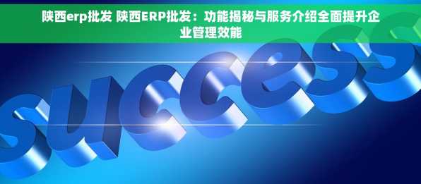 陕西erp批发 陕西ERP批发：功能揭秘与服务介绍全面提升企业管理效能