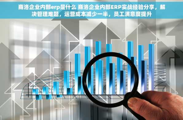 商洛企业内部erp是什么 商洛企业内部ERP实战经验分享，解决管理难题，运营成本减少一半，员工满意度提升