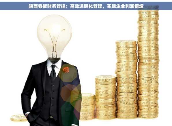 陕西老板财务管控：高效透明化管理，实现企业利润倍增