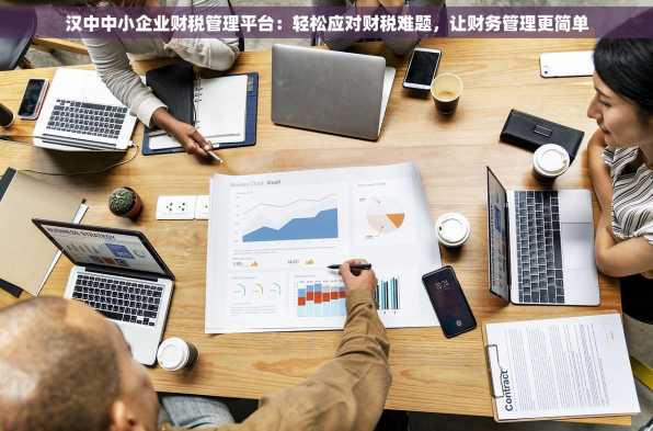 汉中中小企业财税管理平台：轻松应对财税难题，让财务管理更简单