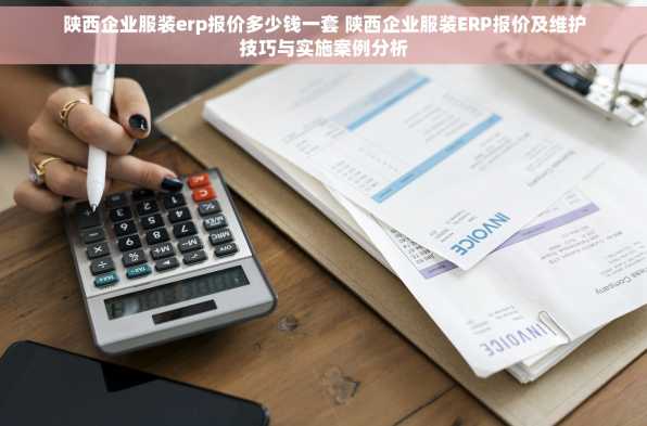 陕西企业服装erp报价多少钱一套 陕西企业服装ERP报价及维护技巧与实施案例分析